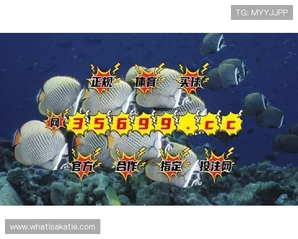 BG视讯app下载官方平台安全稳定，提供丰富的游戏娱乐体验推荐